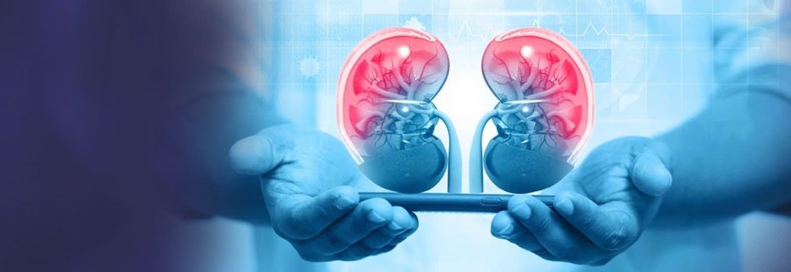 Nephrology